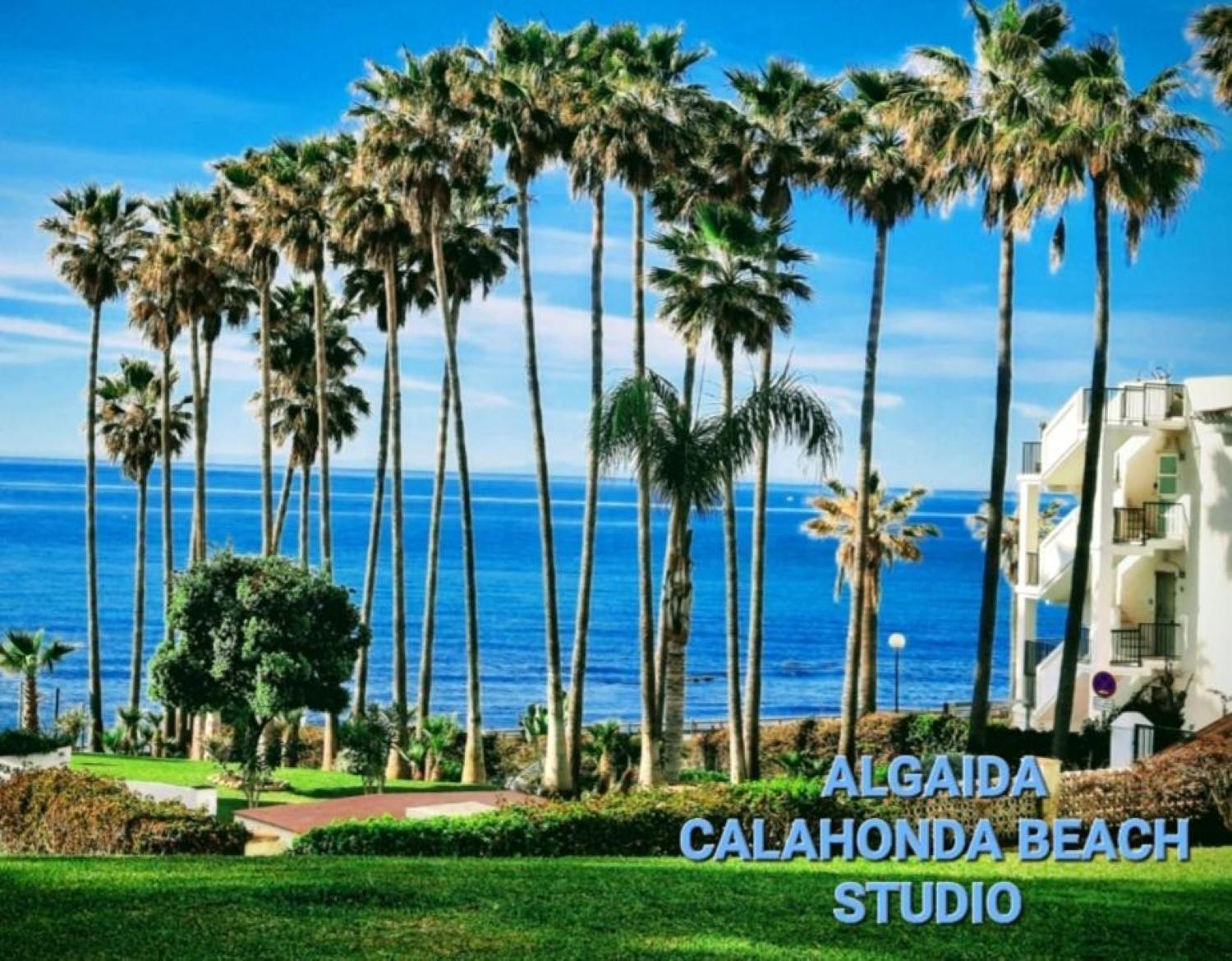 Nuevo! Algaida Calahonda Beach Studio Ситио-де-Калаонда Экстерьер фото